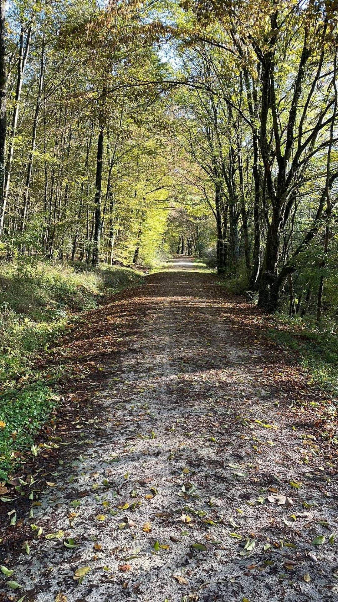 Appartamento Le 40 Sarreguemines Esterno foto